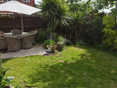 Picture 21
